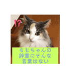 ももの気持ち2（個別スタンプ：13）