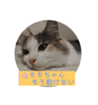ももの気持ち2（個別スタンプ：14）