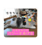 ももの気持ち2（個別スタンプ：16）