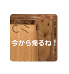 キンクマハムスターのじろうくんの日常（個別スタンプ：26）