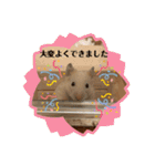 キンクマハムスターのじろうくんの日常（個別スタンプ：27）