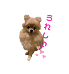夢さんの色々①（個別スタンプ：2）