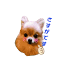 夢さんの色々①（個別スタンプ：9）