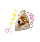 夢さんの色々①（個別スタンプ：13）