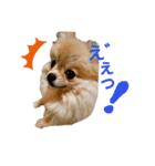 夢さんの色々①（個別スタンプ：15）