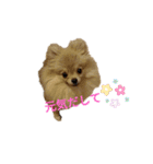 夢さんの色々①（個別スタンプ：20）