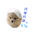 夢さんの色々①（個別スタンプ：22）