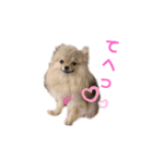 夢さんの色々①（個別スタンプ：27）