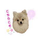 夢さんの色々①（個別スタンプ：30）