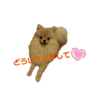 夢さんの色々①（個別スタンプ：31）