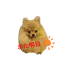 夢さんの色々①（個別スタンプ：32）