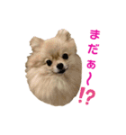 夢さんの色々①（個別スタンプ：34）