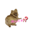 夢さんの色々①（個別スタンプ：36）