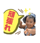 NEW綜ちゃんスタンプ（個別スタンプ：1）