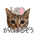 ダジャレ＋死語のデカ文字猫スタンプ。（個別スタンプ：32）