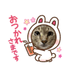 安岡家のペット③（個別スタンプ：22）