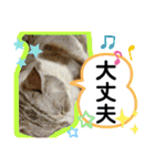 安岡家のペット③（個別スタンプ：26）