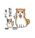 柴犬どんぐり三毛猫たんぽぽ（個別スタンプ：10）