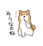 柴犬どんぐり三毛猫たんぽぽ（個別スタンプ：13）