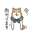 柴犬どんぐり三毛猫たんぽぽ（個別スタンプ：15）