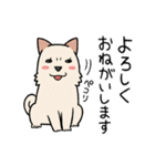 柴犬どんぐり三毛猫たんぽぽ（個別スタンプ：19）