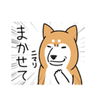 柴犬どんぐり三毛猫たんぽぽ（個別スタンプ：20）