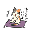 柴犬どんぐり三毛猫たんぽぽ（個別スタンプ：21）