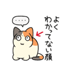 柴犬どんぐり三毛猫たんぽぽ（個別スタンプ：27）