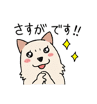 柴犬どんぐり三毛猫たんぽぽ（個別スタンプ：33）