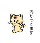 とら猫さん（個別スタンプ：5）