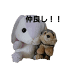うるさい犬（個別スタンプ：3）