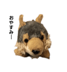 うるさい犬（個別スタンプ：7）