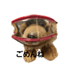 うるさい犬（個別スタンプ：10）