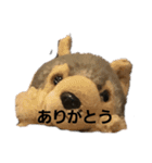 うるさい犬（個別スタンプ：14）