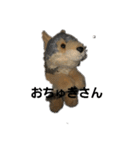 うるさい犬（個別スタンプ：15）