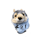 うるさい犬（個別スタンプ：16）