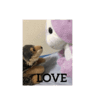 うるさい犬（個別スタンプ：19）