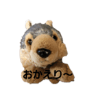 うるさい犬（個別スタンプ：21）