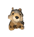 うるさい犬（個別スタンプ：22）