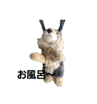 うるさい犬（個別スタンプ：24）