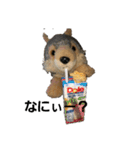 うるさい犬（個別スタンプ：26）