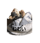 うるさい犬（個別スタンプ：27）