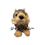 うるさい犬（個別スタンプ：31）