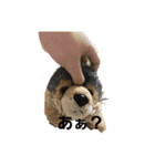 うるさい犬（個別スタンプ：32）