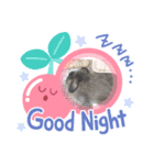 ごまもこすみれ（個別スタンプ：3）