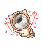 ごまもこすみれ（個別スタンプ：7）
