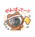 ごまもこすみれ（個別スタンプ：8）