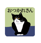 アジと八十匹のネコ達 その1（個別スタンプ：1）