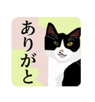 アジと八十匹のネコ達 その1（個別スタンプ：4）