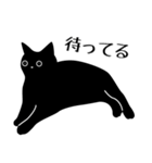 黒猫の生活★毎日使える大人スタンプ（個別スタンプ：40）